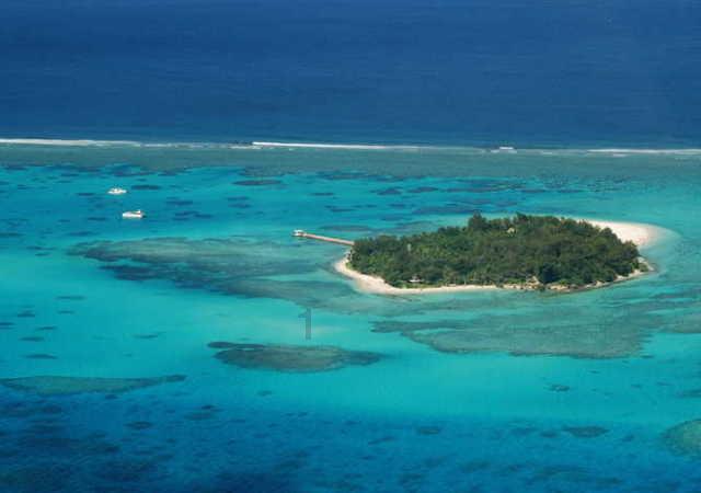 前海开源崔宸龙仍坚定看好新能源，关注AI投资机会，法拉电子、中信博获加仓