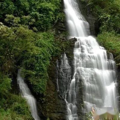 某车企高管因交付难辞职！官方回应