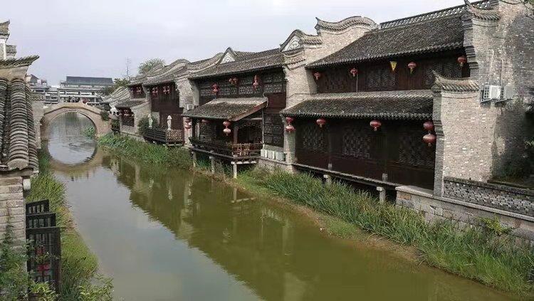 探寻奇趣无限,畅享青菜心的做法大全?问答乐趣